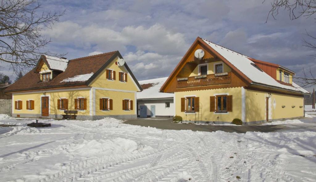 Ermi Pracher v zimě