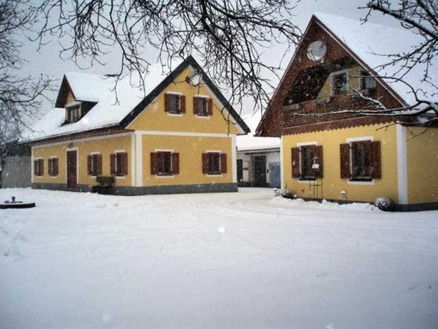 Ermi Pracher v zimě