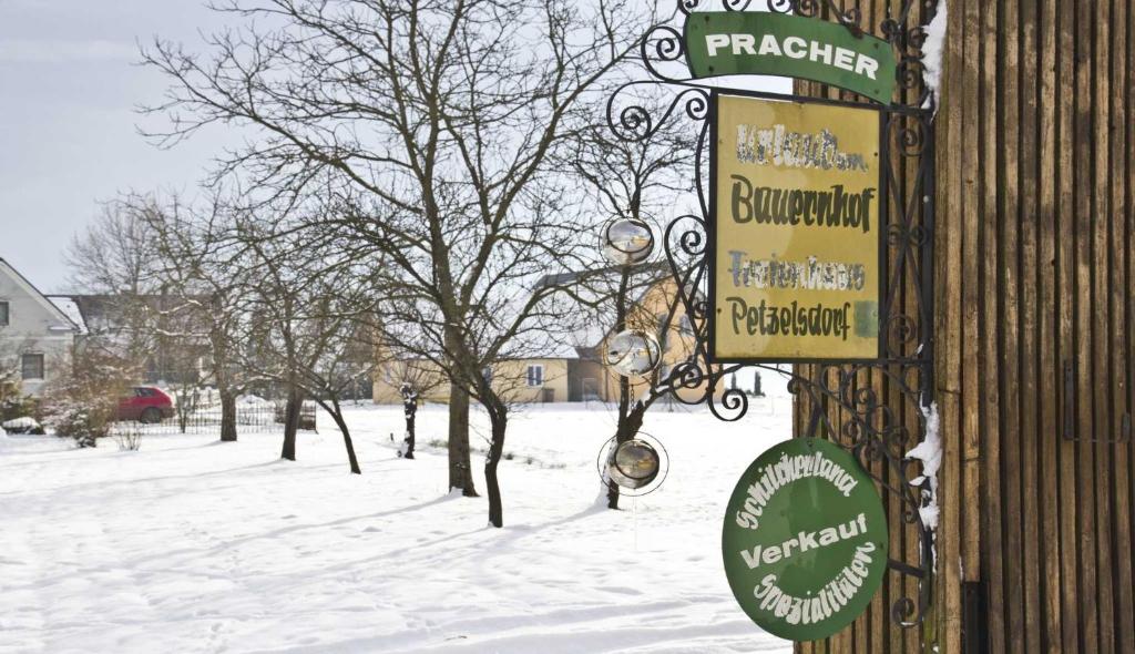 Ermi Pracher v zimě