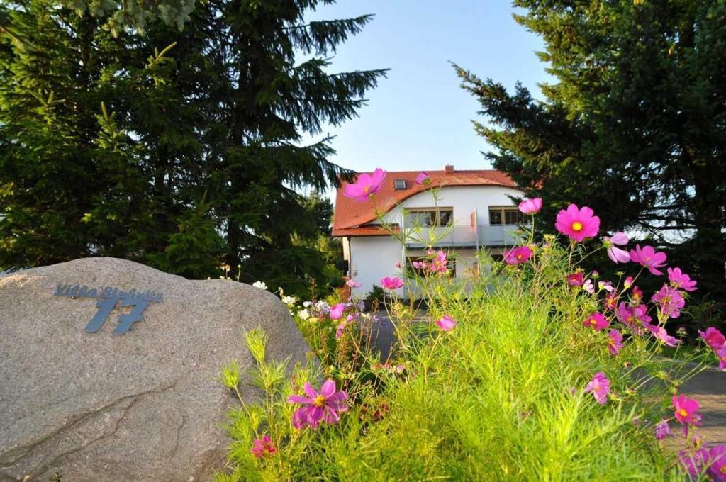 Κήπος έξω από το Villa Stubnitz