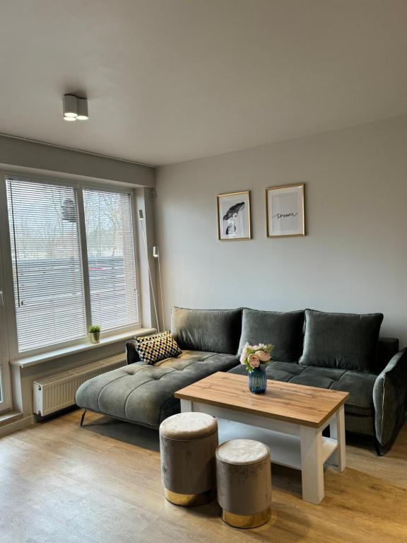 Posezení v ubytování Liepu Apartments Druskininkai