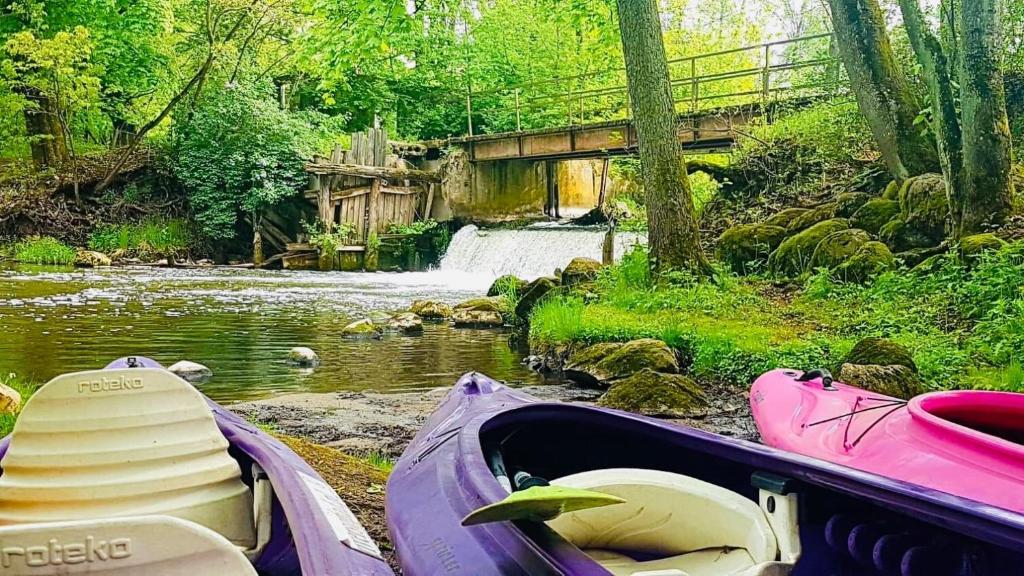 Příroda nedaleko apartmánu