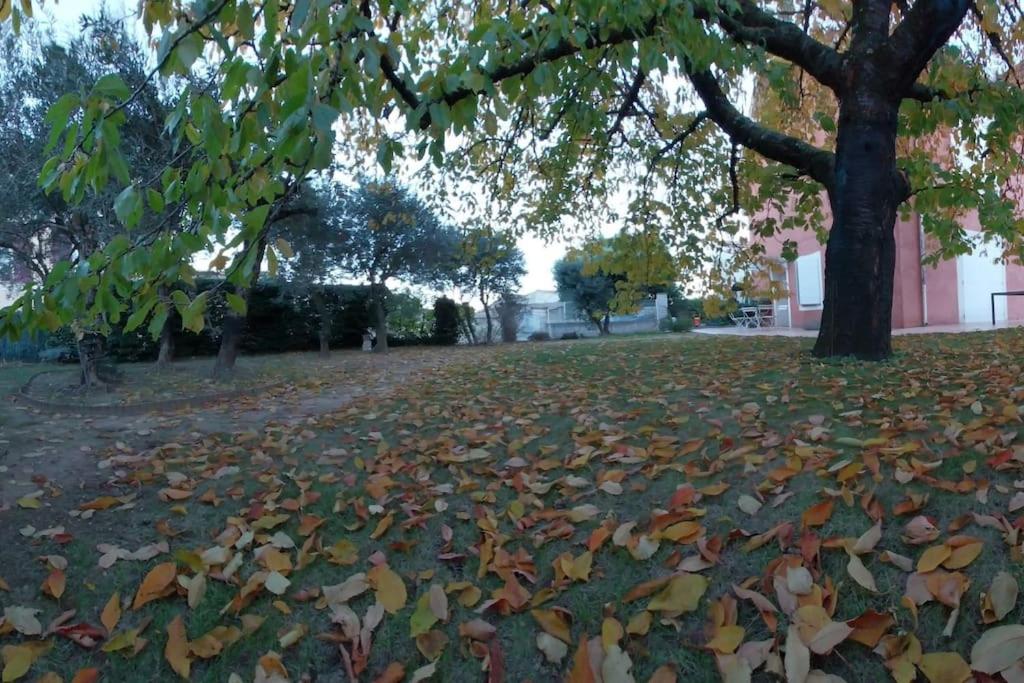 une pile de feuilles sur le sol sous un arbre dans l'établissement Villa de Caractère, à Pourcieux