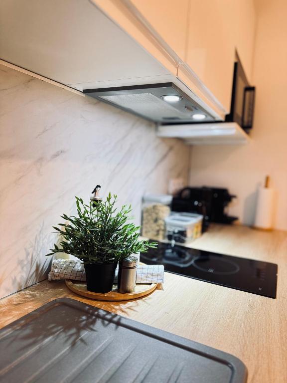 Posezení v ubytování Sunshine Getaway - Stylish Studio in the Heart of Nice