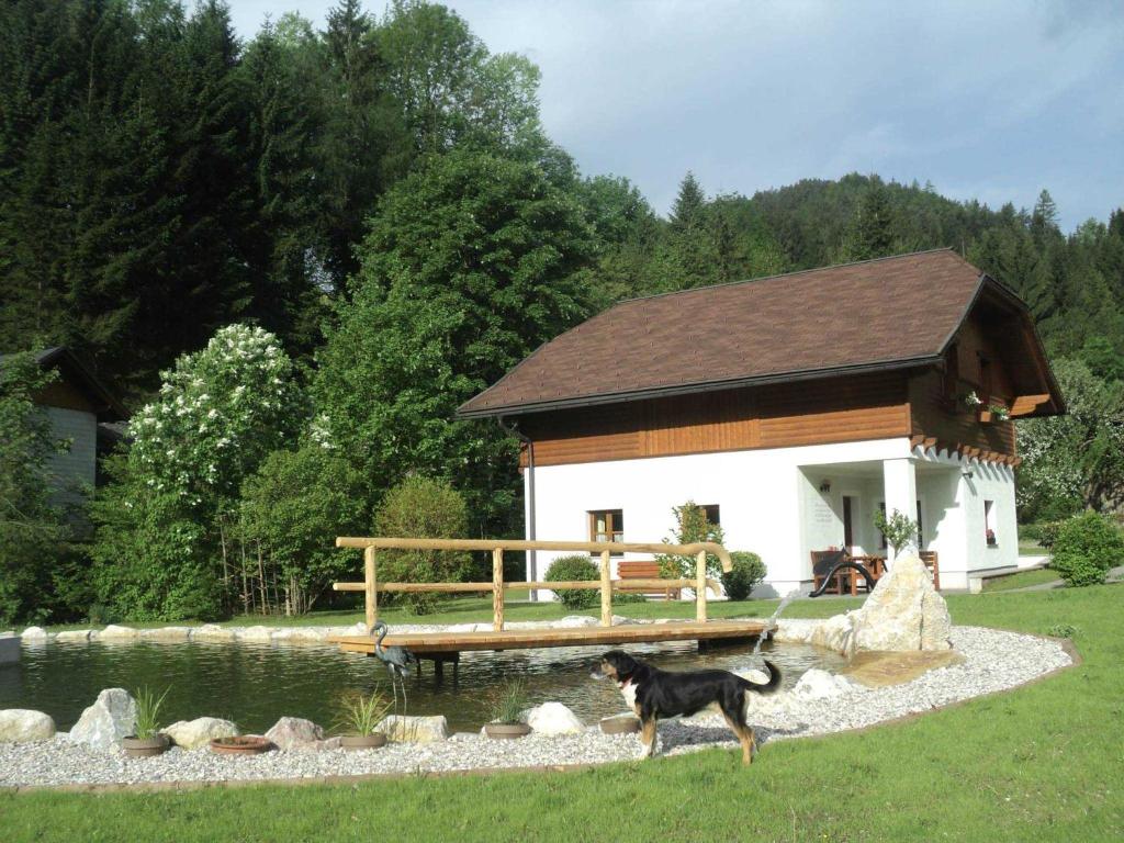 un chien debout devant un bâtiment à côté d'un étang dans l'établissement Oberbach, à Göstling