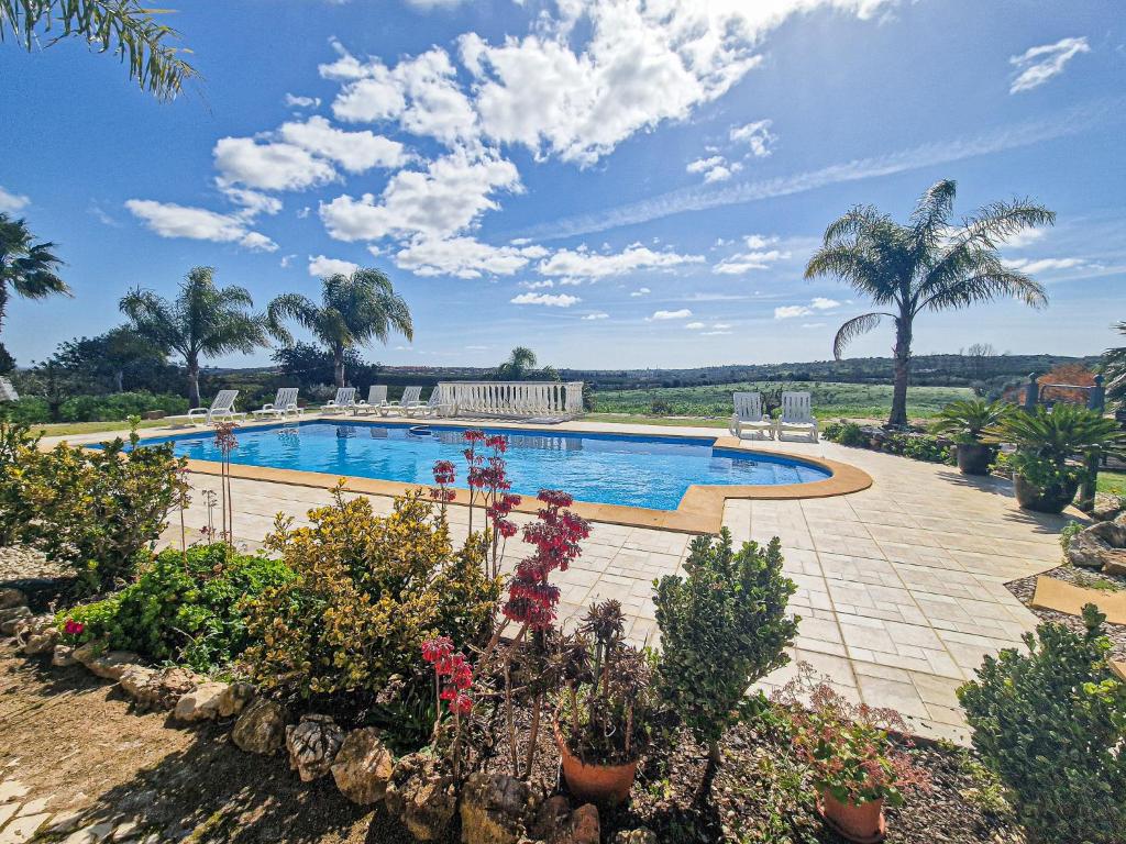 een zwembad met planten en palmbomen bij Quinta do Bravo - Swimming Pool - BY BEDZY in Silves