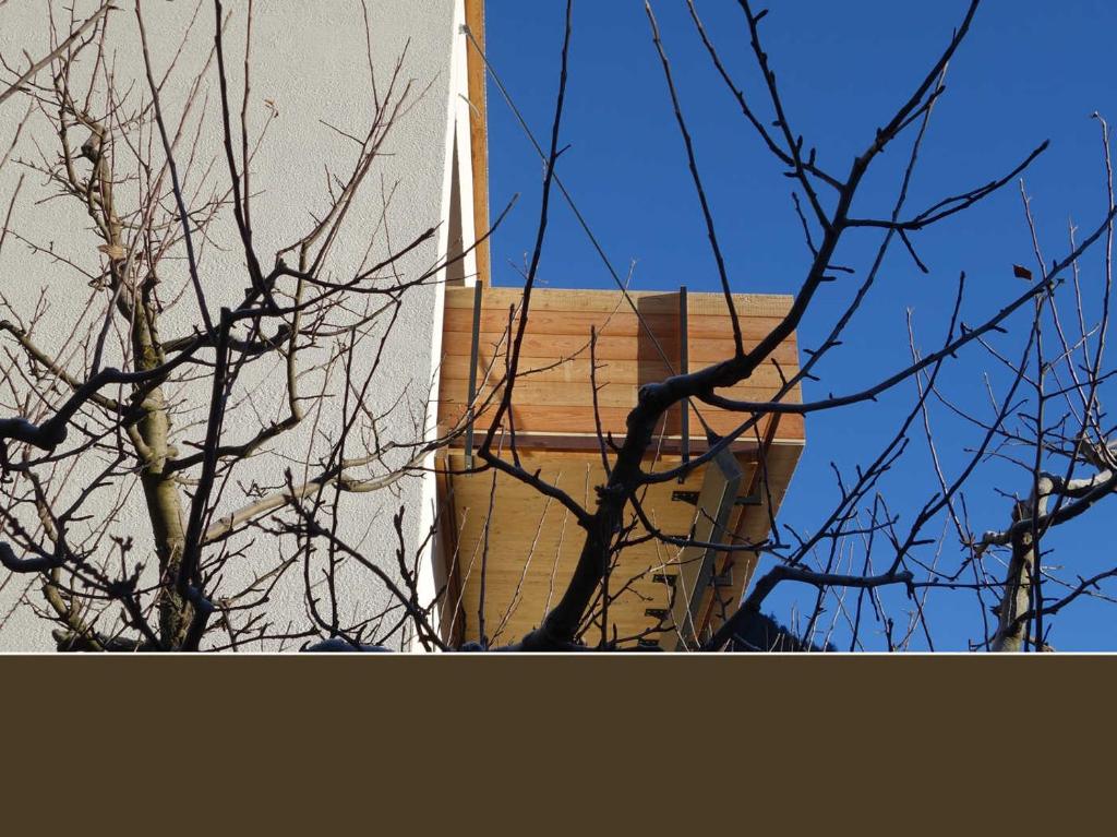 un árbol sin hojas delante de un edificio en Holztau, en Pfunds