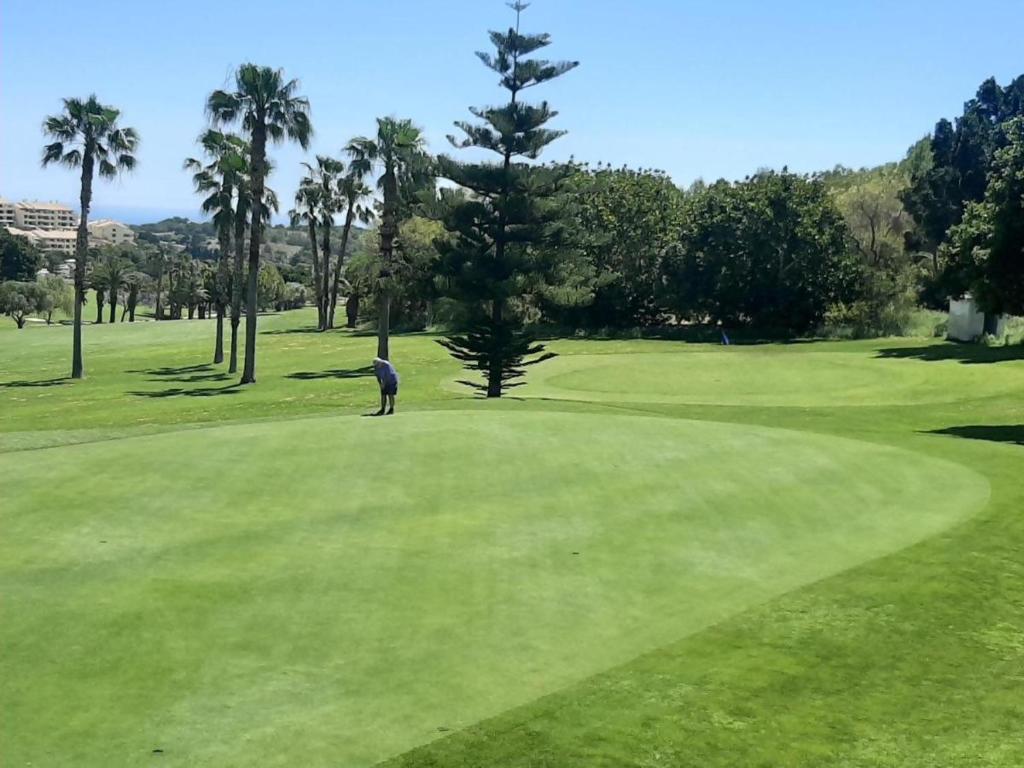 Golf pri apartmáne alebo okolí