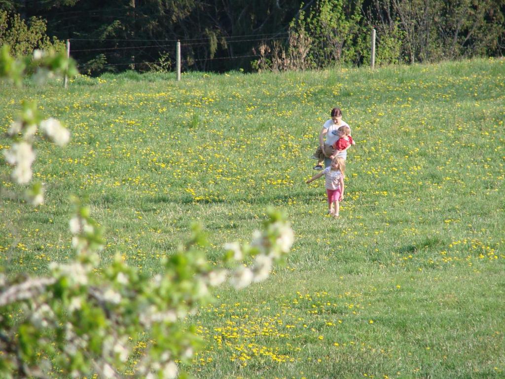 Hosté ubytování Pircherhof - Urlaub und Erholung im Troadkost'n