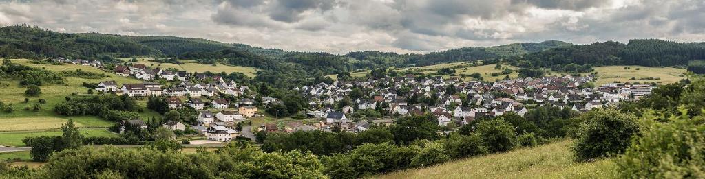 eine kleine Stadt inmitten eines Hügels in der Unterkunft Heidi`s Ferienhaus in Mittenaar