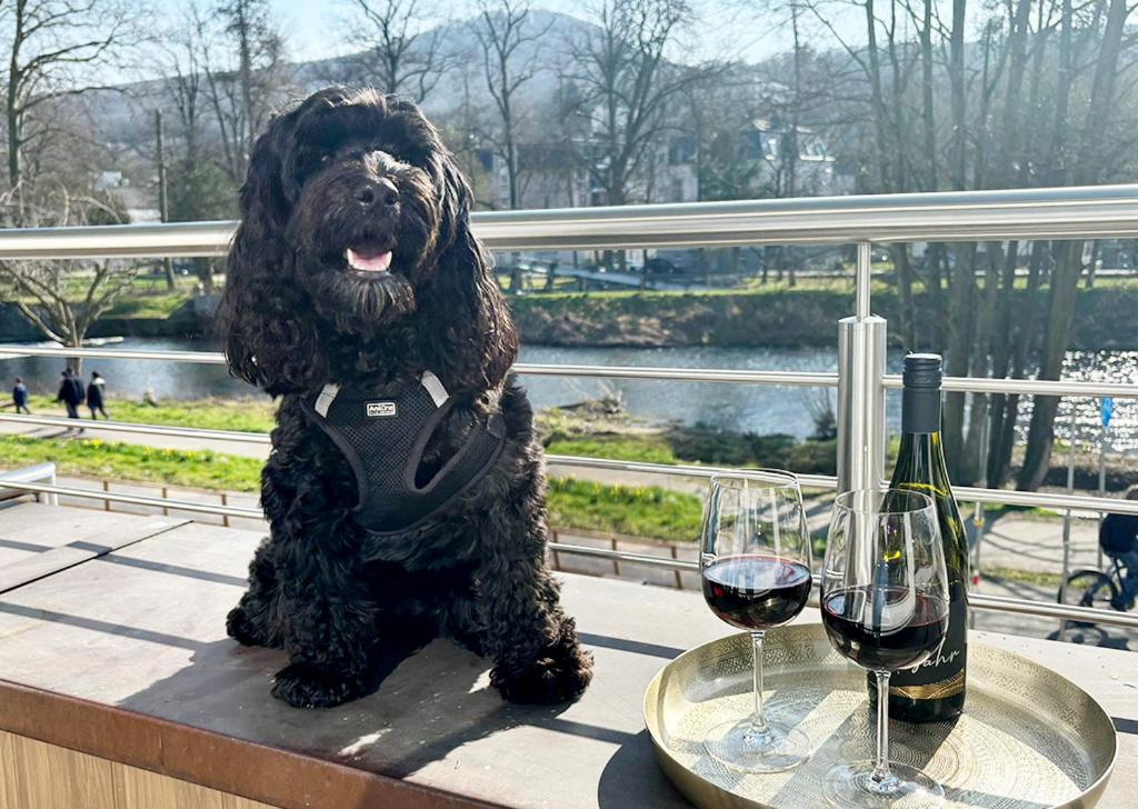 a dog sitting on a table next to two glasses of wine at Exklusive Wohnung mit Ahrblick 2, Balkon und 2 Schlafzimmer in Bad Neuenahr-Ahrweiler