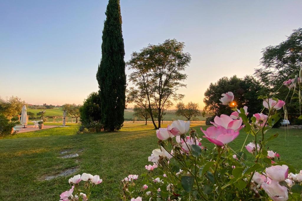 Holiday House Borgo Badia
