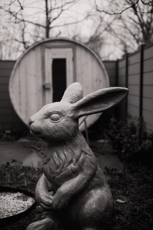 Fotografie z fotogalerie ubytování KROOST v destinaci Lokeren