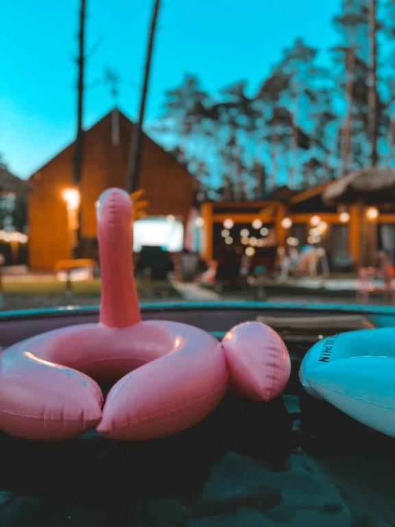 un pato de juguete rosa sentado en la parte superior de una piscina en 2 STODOŁY Chillout, en Dziwnów