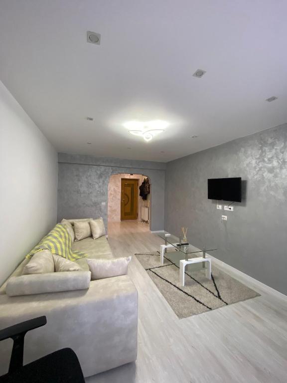 特爾古尼亞姆茨的住宿－SorinaApartament，带沙发和电视的客厅