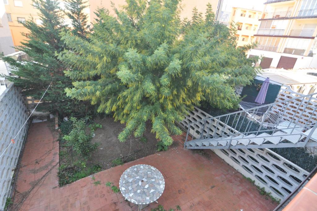 Zahrada ubytování RNET - Clot de Franquets - Roses Santa Margarita