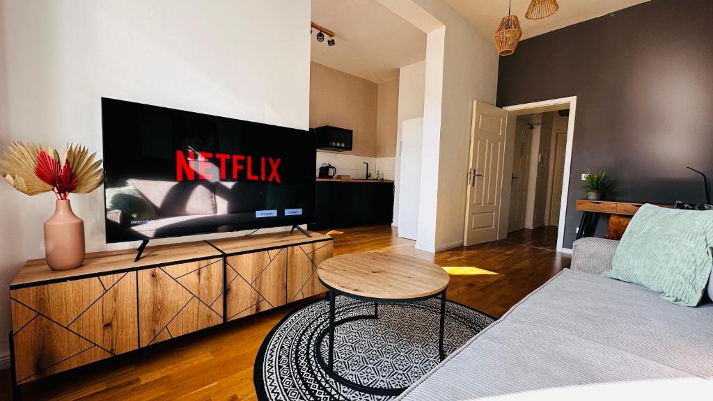 TV a/nebo společenská místnost v ubytování Apartment FAUNA in Halle an der Saale