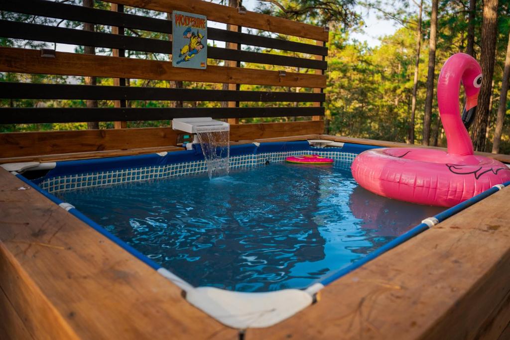 a pool with a pink swan and a plastic flamingo at Tiny Pines A-Frame Cabin, Domes and Luxury Glamping Site 