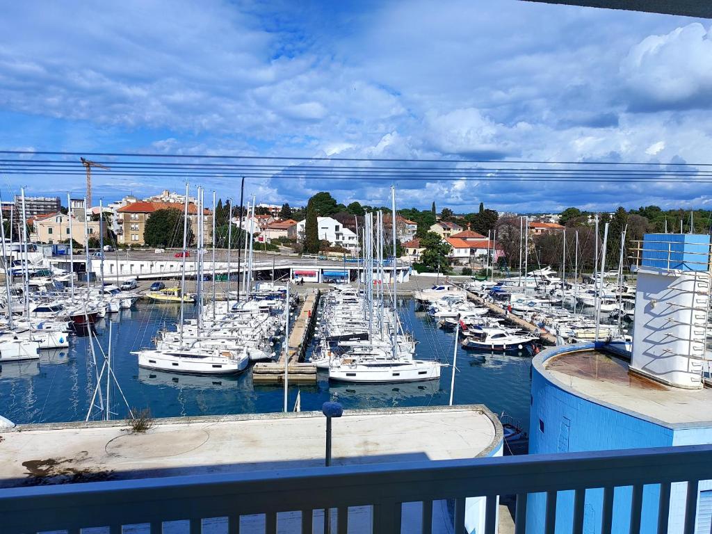 un puerto deportivo lleno de muchos barcos en el agua en APARTMENT MARINA VIEW, en Zadar