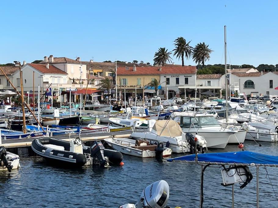 Naturlandskabet i nærheden af feriehuset