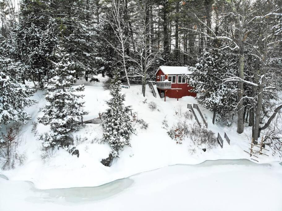 una cabina rossa nel bosco nella neve di Little Red Wing 50s Lake Cabin a Bradford