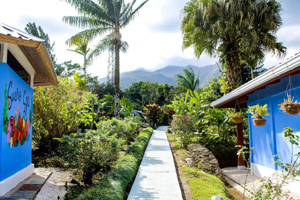 un chemin à travers un jardin planté de palmiers dans l'établissement Sueño Río Celeste Boutique B&B, à Bijagua