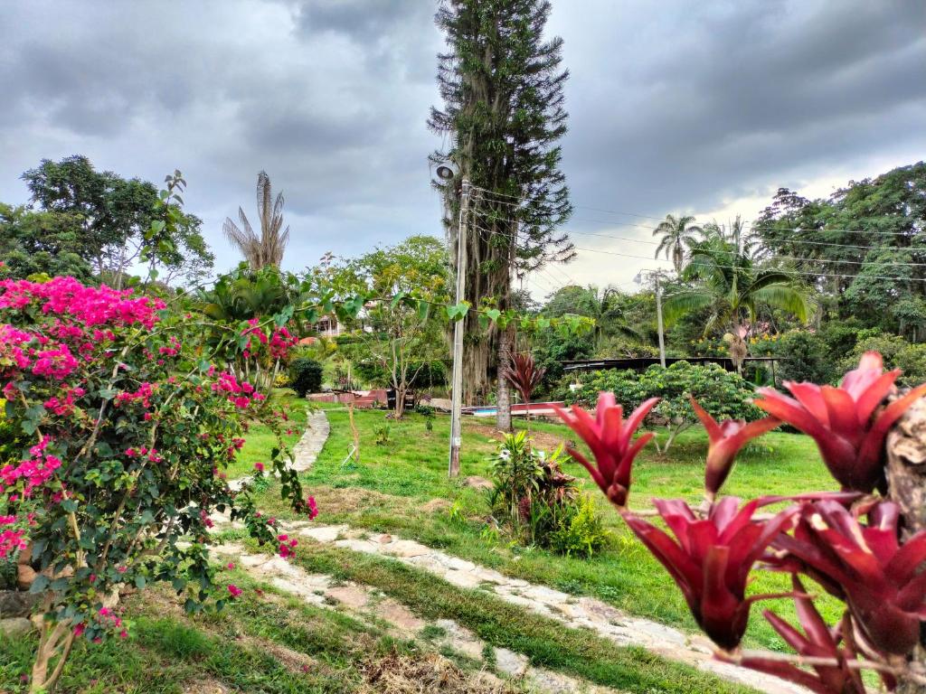 a garden with pink flowers and a palm tree at Finca la Lomita in Fusagasuga