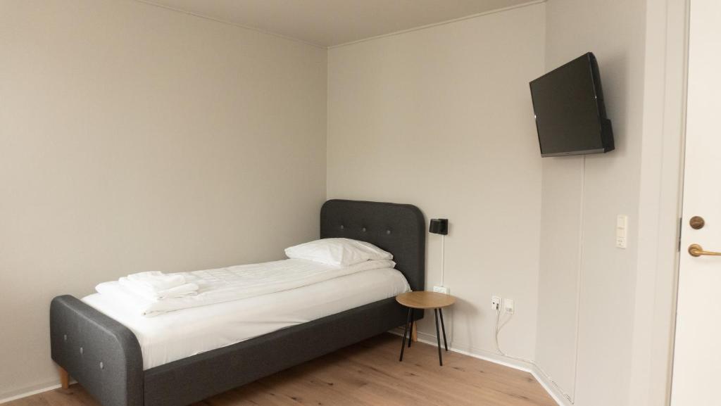 TV/Unterhaltungsangebot in der Unterkunft Hotel Smedegaarden