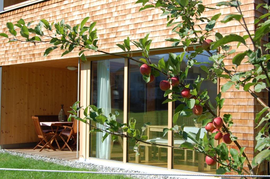 ein Apfelbaum vor einem Haus in der Unterkunft Appartements Christine in Bezau