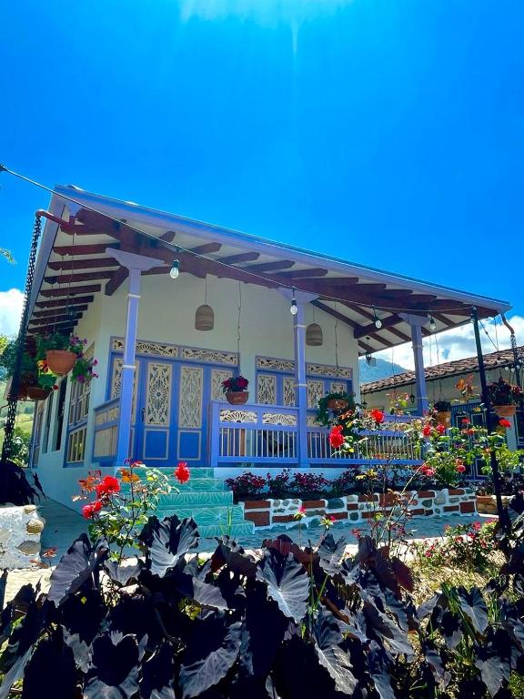 Zahrada ubytování Hotel Lago Valdivia