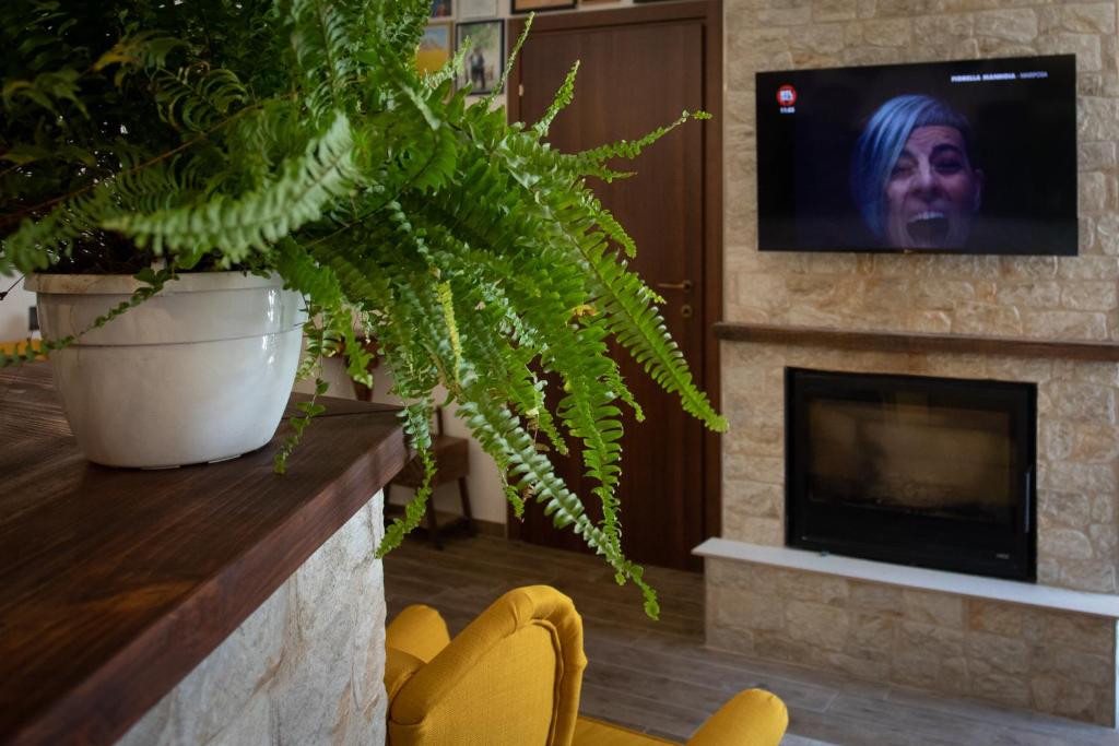 TV a/nebo společenská místnost v ubytování BeB Nonno Baffo