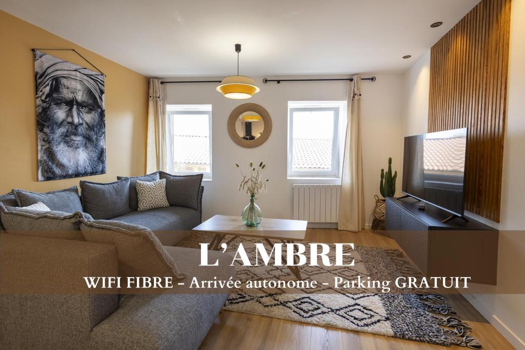 een woonkamer met een bank en een tv bij L'Ambre - 1 à 4P - Wifi Fibre - Parking Gratuit in Pont-dʼAin