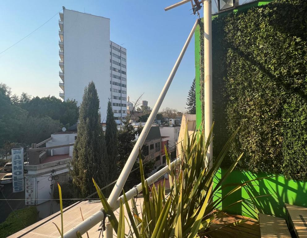 - une vue sur la ville depuis un bâtiment avec des plantes dans l'établissement Mexico City Guesthouse, à Mexico