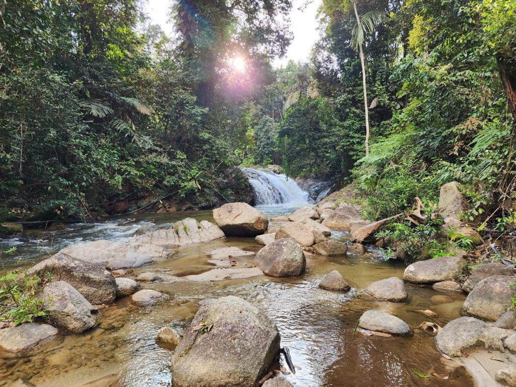 a river with rocks and a waterfall in a forest at Rock Forest Chalet in Bentong