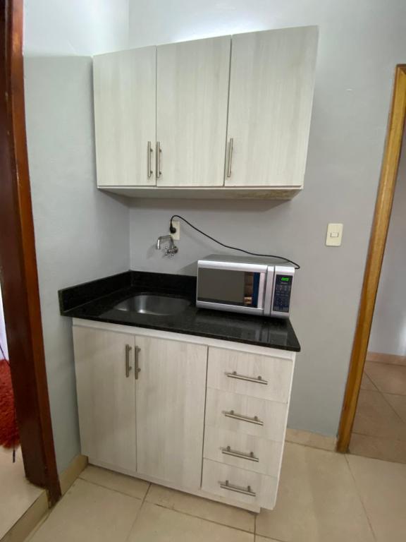 kuchnia ze zlewem i kuchenką mikrofalową na ladzie w obiekcie Lujoso ,cómodo MONOAMBIENTE w mieście San Lorenzo