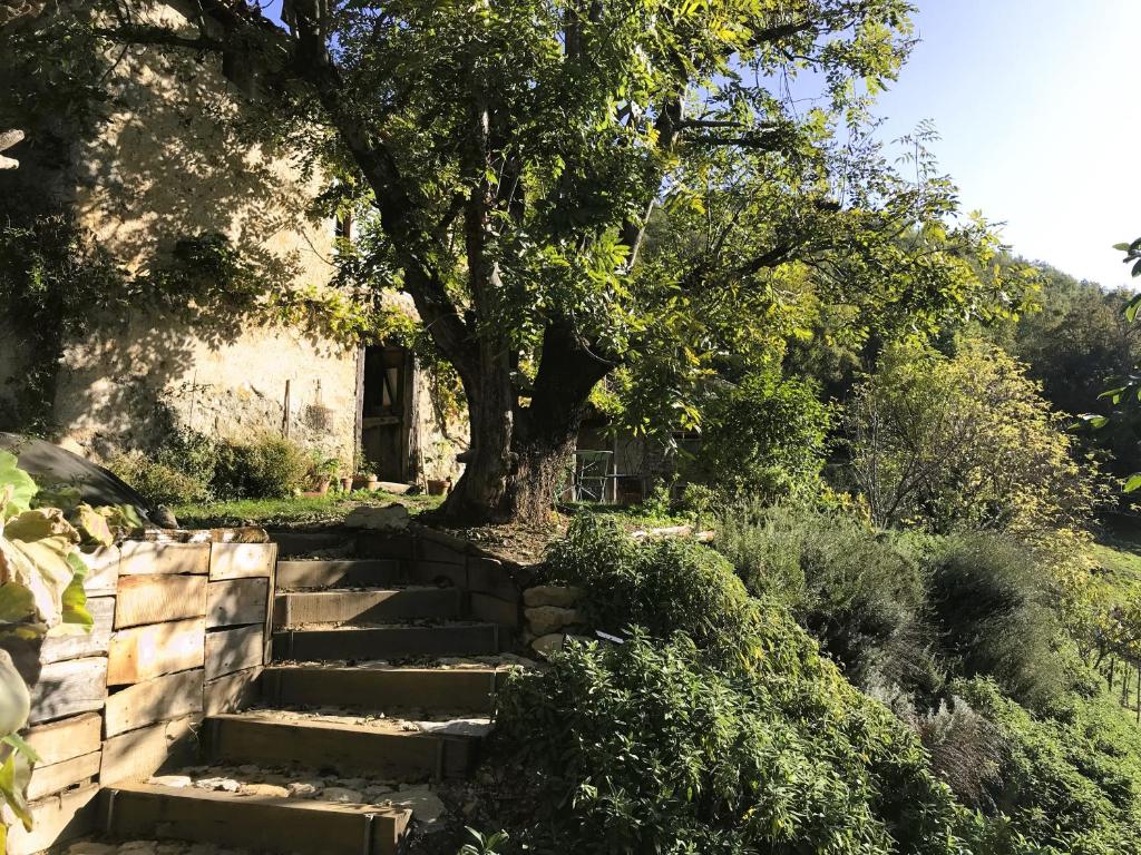 un albero e le scale di fronte a una casa di ASPET Ancienne étable ad Aspet