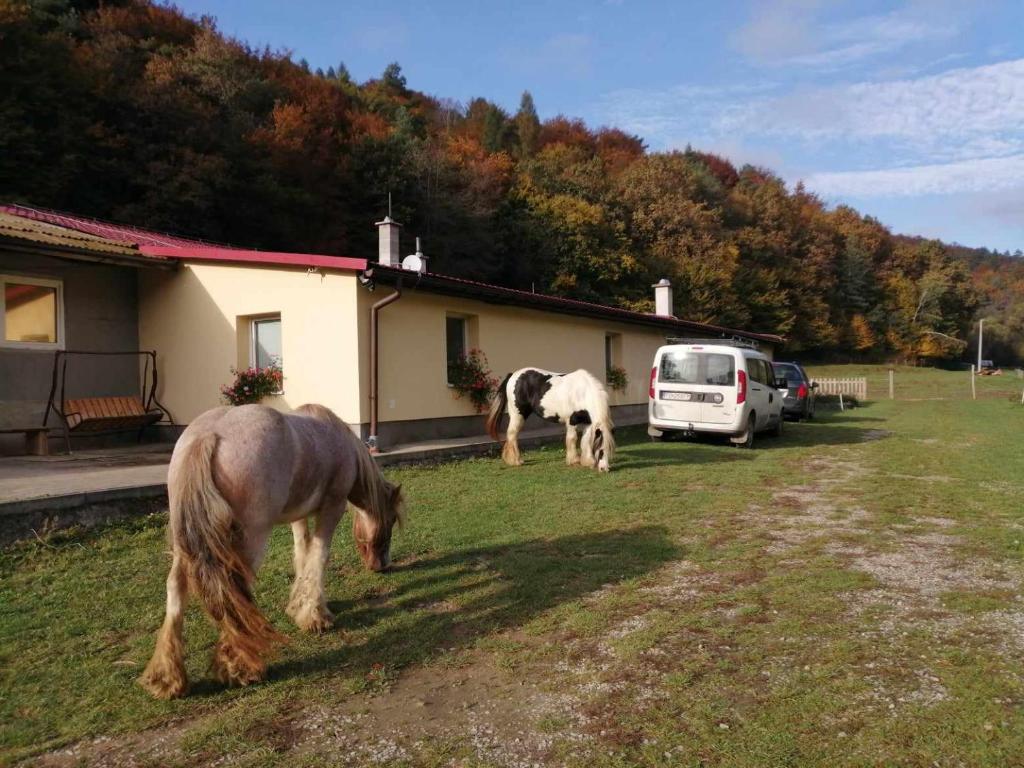 two horses grazing in a field in front of a house at Oddychový pobyt na rodinnej farme in Matiaška