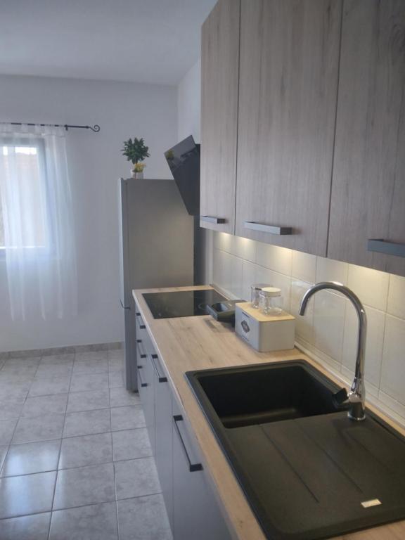 - une cuisine avec un évier et un comptoir dans l'établissement Apartman Maja, à Veli Iž