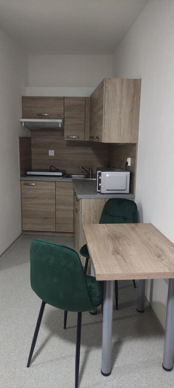 Kuchyň nebo kuchyňský kout v ubytování Ubytovací zařízení Koleje Pedagog