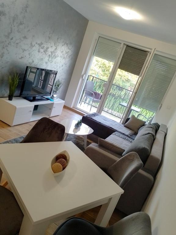 TV i/ili multimedijalni sistem u objektu Apartman ELIT Srebrno jezero