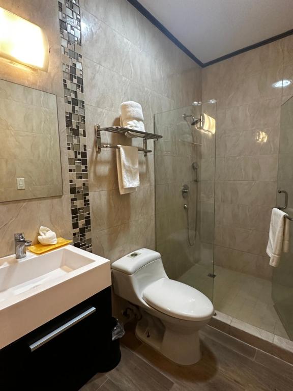 Vannituba majutusasutuses Hotel Crowner David