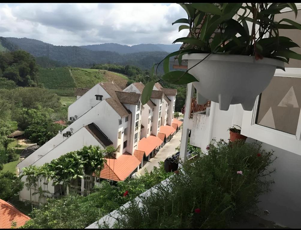a building with a potted plant on the side of it at Bukit Tinggi Fuchsia Hillhomes in Bukit Tinggi