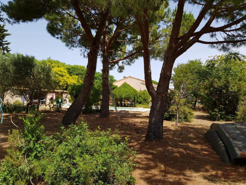 Photo de la galerie de l'établissement Villa piscine et grand jardin bord de mer, à Frontignan