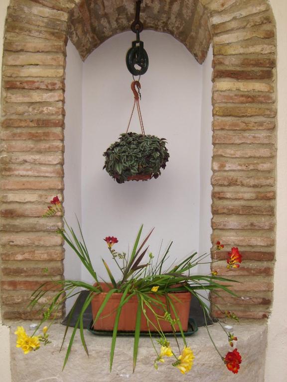 Hotel Plateros - Resim 40