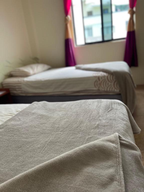 2 camas individuales en una habitación con ventana en Kicker House Turtle Room, en Puerto Baquerizo Moreno