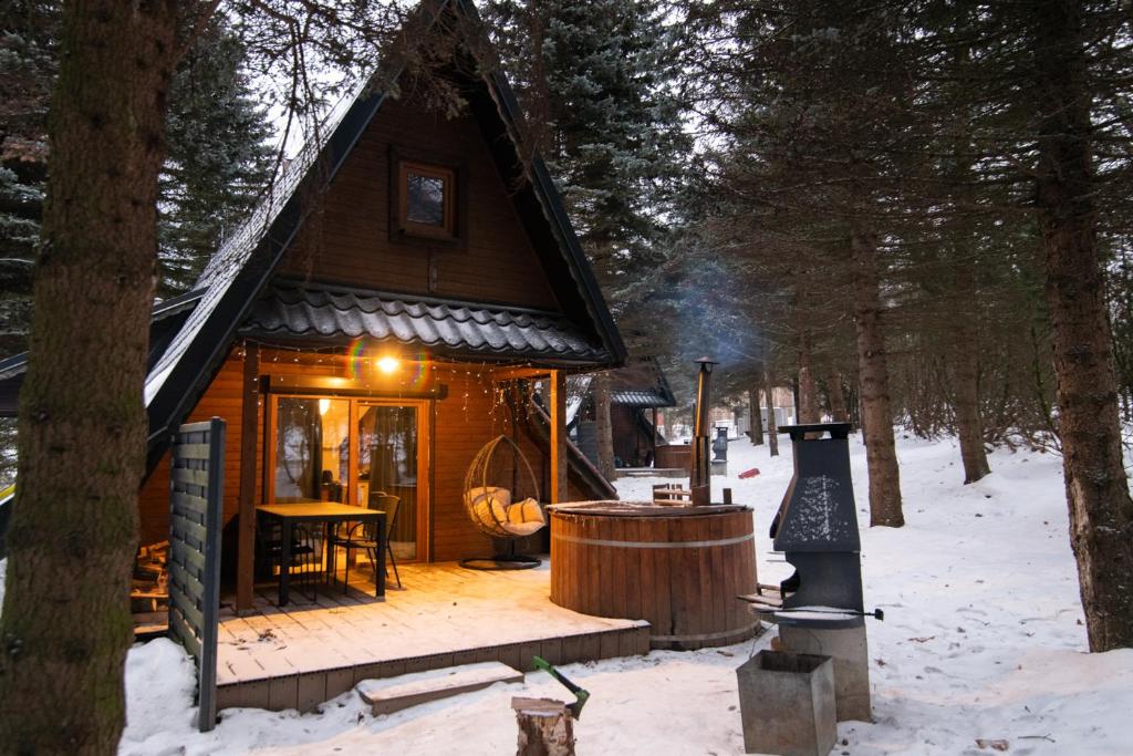 domek w lesie w śniegu w obiekcie Oliwne Wzgórza w Stroniu Śląskim