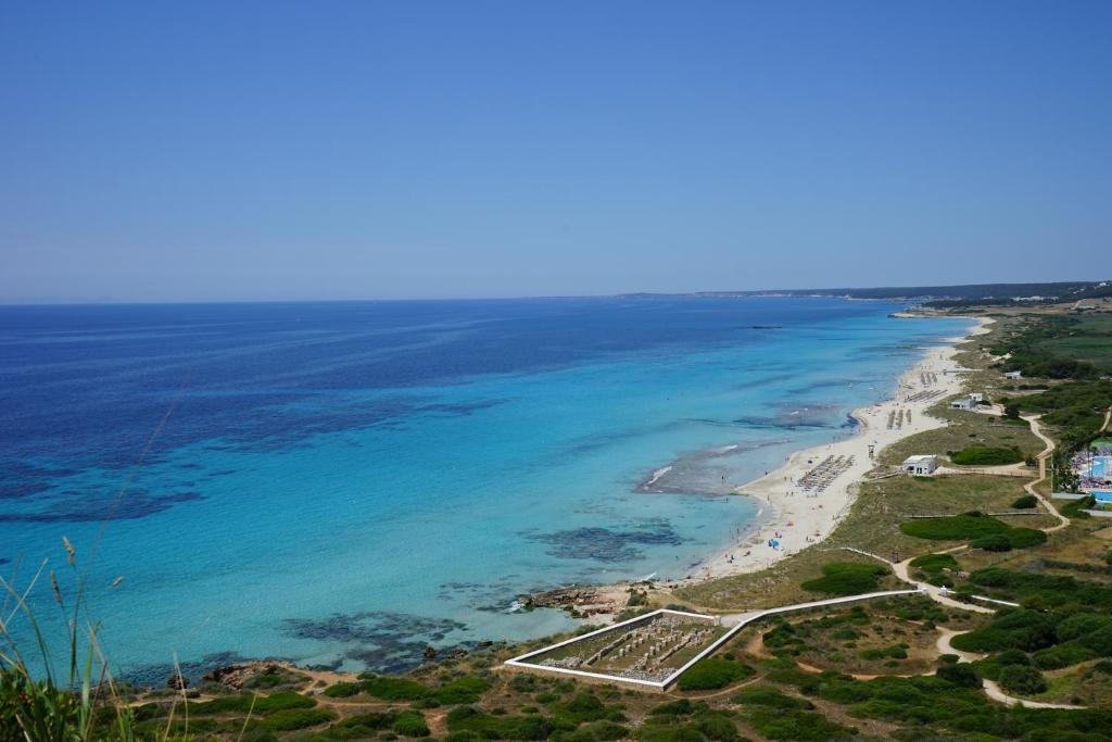 an aerial view of a beach and the ocean at APARTAMENTO SON BOU in Son Bou