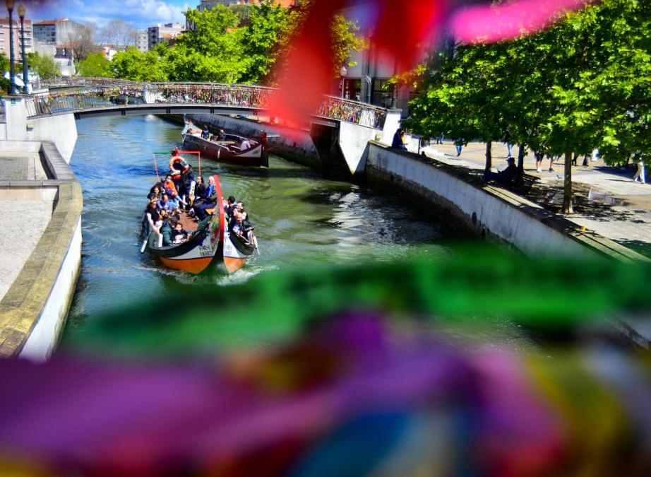 Sal, Terra e Mar - 19