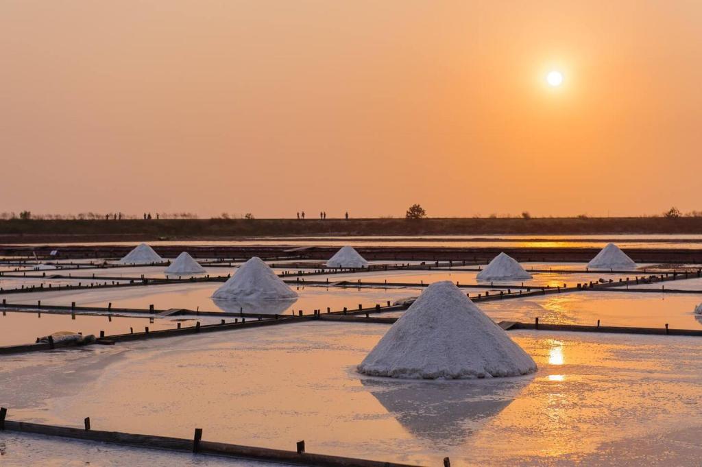 Sal, Terra e Mar - 18