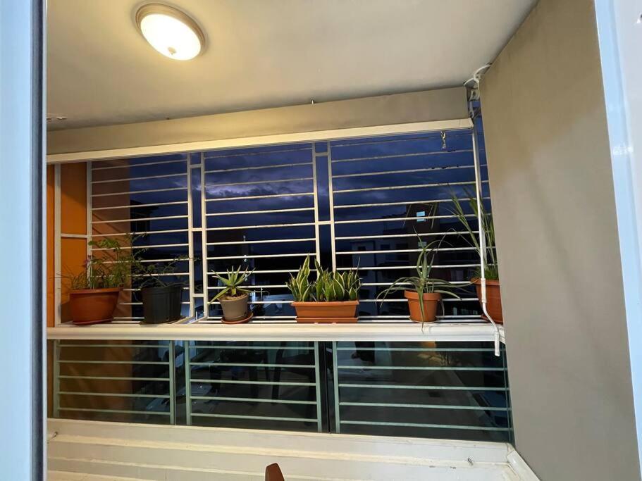 a window with potted plants on a window sill at Hermoso apartamento con piscina. in La Estrella